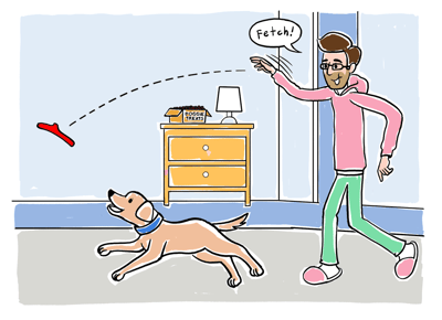 How to get a dog best sale to fetch